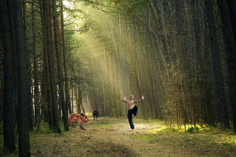 Chinese Martial Art